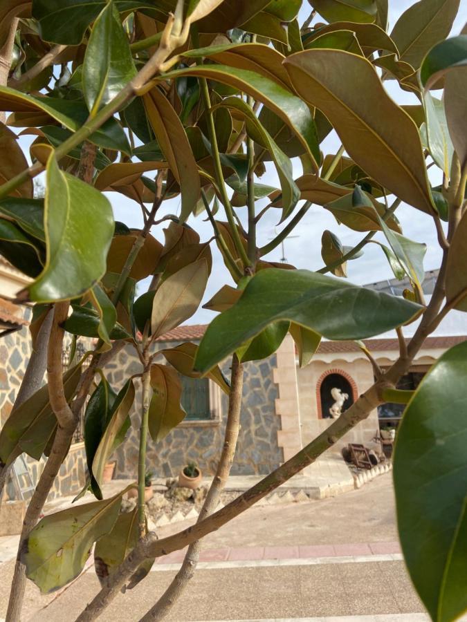 Esse Natura Alojamientos & Lifestyle Pozohondo 外观 照片