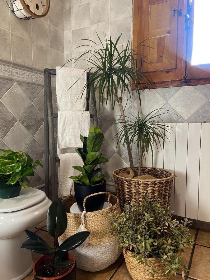 Esse Natura Alojamientos & Lifestyle Pozohondo 外观 照片